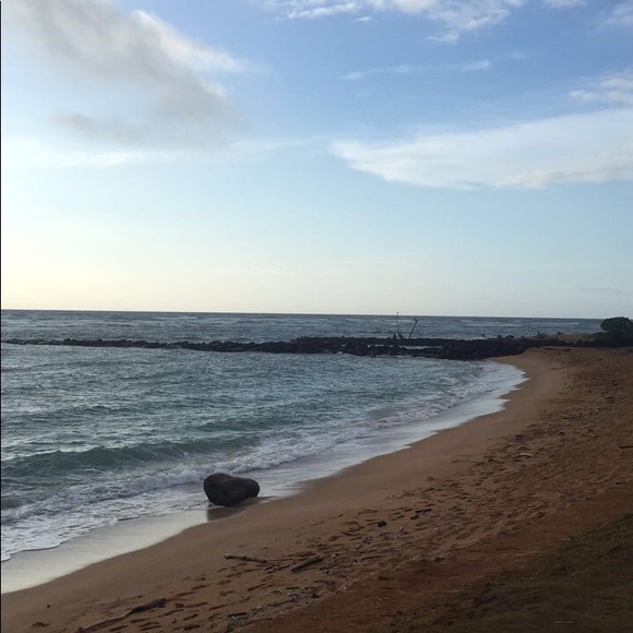 Meet your Posher, Sherry - Picture 1 of 1